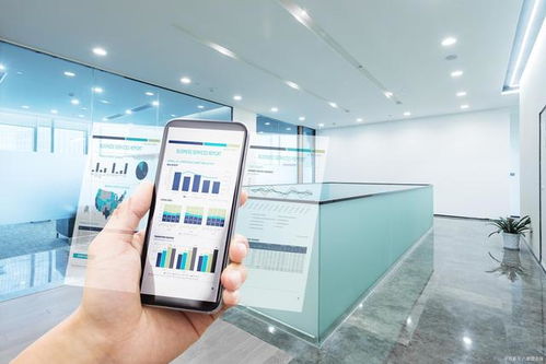 中小微企业信息化产品的五大特征解析 以信息咨询服务为例