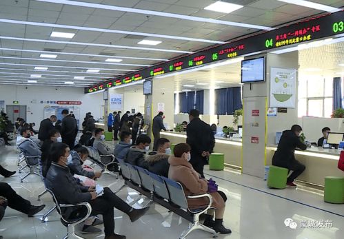 春节服务“不打烊” 蒙城政务服务延时错时安排及咨询指南